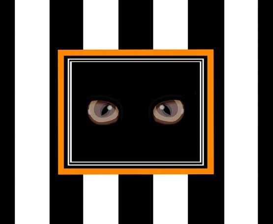 Cat eyes Orange Black Background 8 X 10 low res